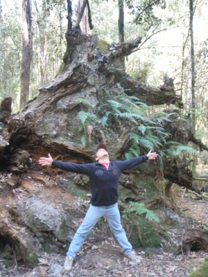 Mathieu et le big Tree